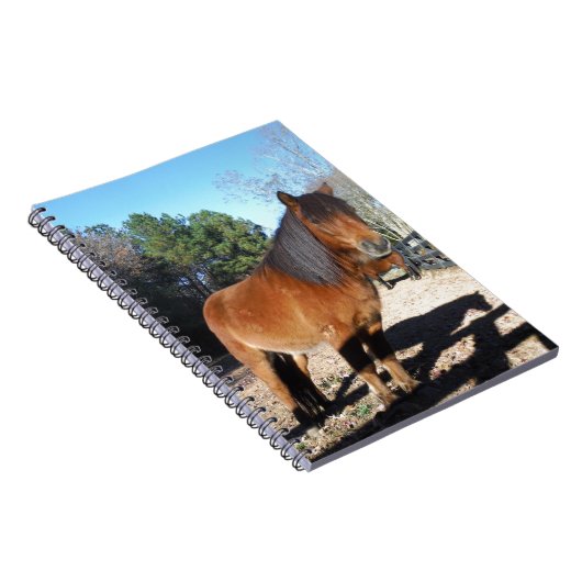 Pony Türkise Sky Notizblock (Rechte Seite)