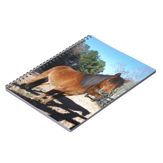 Pony Türkise Sky Notizblock (Linke Seite)