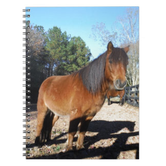 Pony Türkise Sky Notizblock