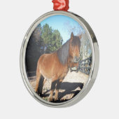 Pony Türkise Sky Ornament Aus Metall (Links)