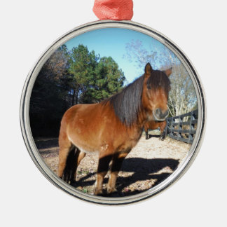 Pony Türkise Sky Ornament Aus Metall