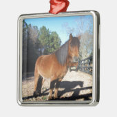 Pony Türkise Sky Ornament Aus Metall (Links)