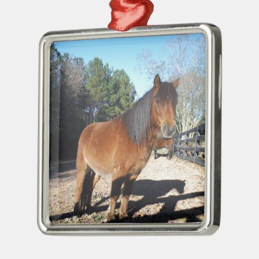 Pony Türkise Sky Ornament Aus Metall (Links)