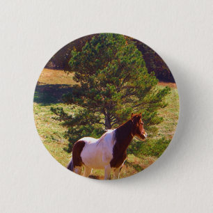 Pony von der Kiefer gemalt Button