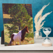 Pony von der Kiefer gemalt Fotoplatte (Seite)