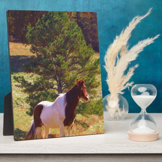 Pony von der Kiefer gemalt Fotoplatte (Seite)