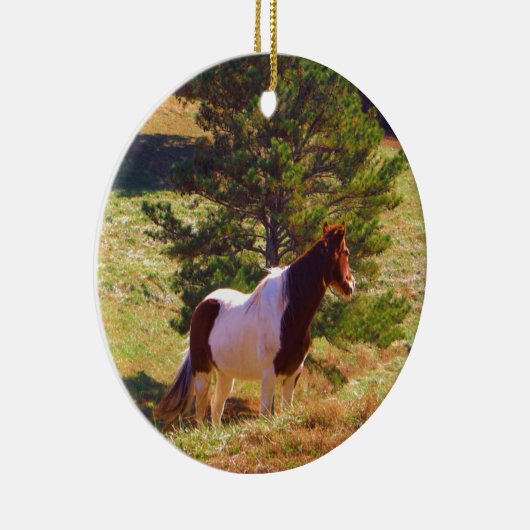 Pony von der Kiefer gemalt Keramikornament (Rechts)