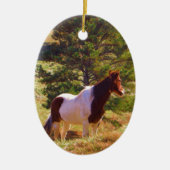 Pony von der Kiefer gemalt Keramikornament (Vorne)