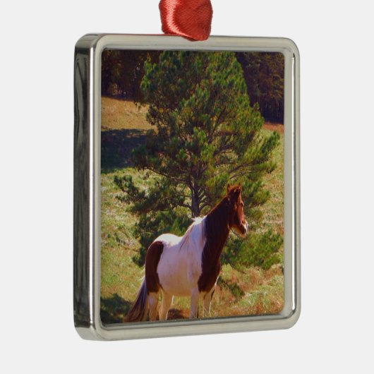 Pony von der Kiefer gemalt Silbernes Ornament (Rechts)