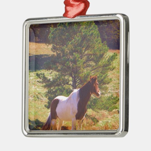 Pony von der Kiefer gemalt Silbernes Ornament (Links)