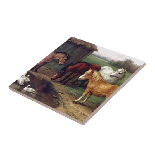 Ponyesel duckt Bauernhof Fliese (Seite)