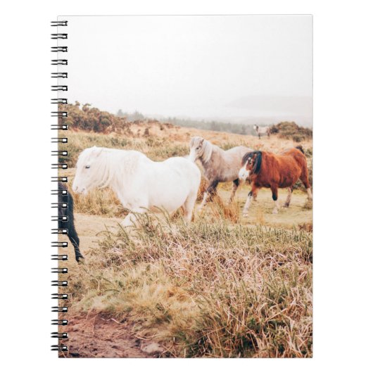 PONYHERDE IM HERBST NOTIZBLOCK (Vorderseite)