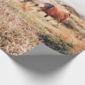 PONYHÜRDE IM HERBST GESCHENKPAPIER (Ecke)