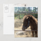 Ponyprofil Postkarte (Vorne/Hinten)