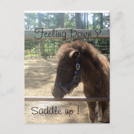 Ponyprofil Postkarte (Vorderseite)