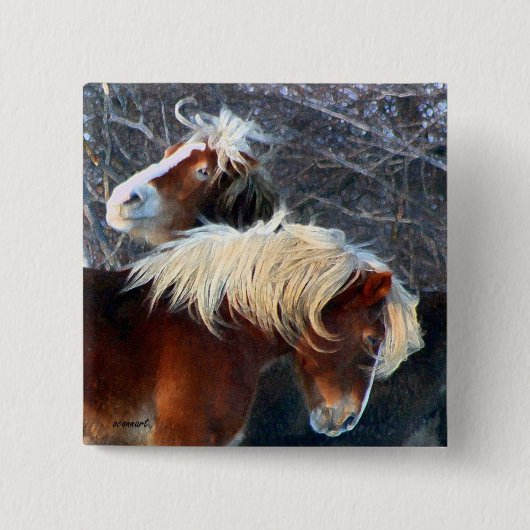 Ponys Button (Vorderseite)