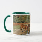 Ponys, die Tasse trinken (Links)