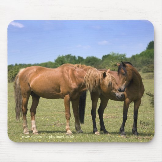 Ponys in der Liebe Mousemat Mousepad (Vorne)