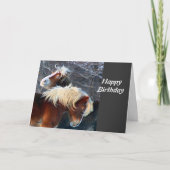 Ponys Karte (Vorderseite)