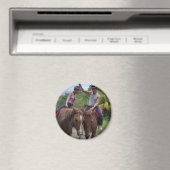Ponys Magnet (In Situ (Geschirrspüler))