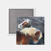 Ponys Magnet (Vorderseite/Rückseite)