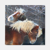 Ponys Magnet (Vorne)