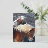 Ponys Postkarte (Stehend Vorderseite)