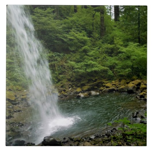 Ponyschwanzfälle, OR Fliese (Vorderseite)