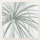 Ponyschwanzpalmenblätterung auf weiß glasuntersetzer (Vorderseite)