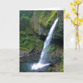 Ponytail Falls, Oregon Karte (Gelbe Blume)