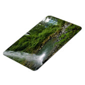 Ponytail Falls, Oregon Magnet (Linke Seite)