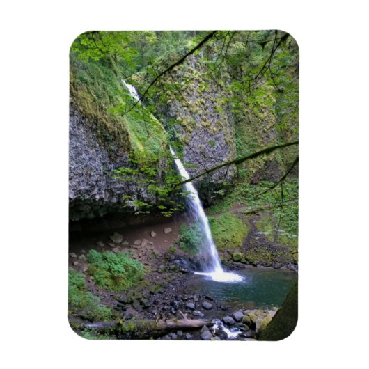 Ponytail Falls, Oregon Magnet (Vertikal)