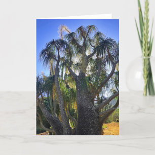 Ponytail Palm Dankeskarte