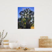 Ponytail Palm Poster (Küche)