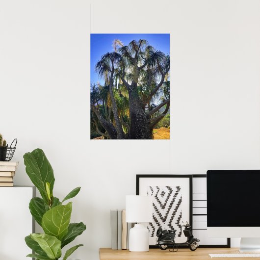 Ponytail Palm Poster (Heimbüro)