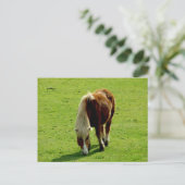 Ponyweiden Postkarte (Stehend Vorderseite)