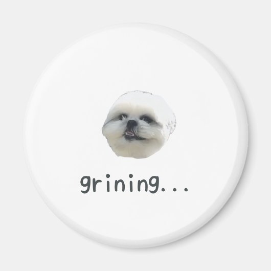 PONZU magnet (Vorne)