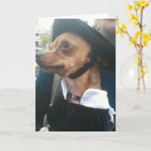 POOCH BEGS PARDON BELATED BIRTHDAY KARTE (Gelbe Blume)