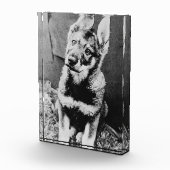 Pooch Fotoblock (Rechts)