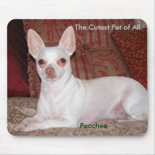 Poochee Winter 026, das niedlichste Haustier von Mousepad