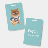 Poochie Dog Sweater | Ausweis (Vorder- & Rückseite)