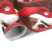 Poochie Paper Geschenkpapier (Rolleneckpunkt)