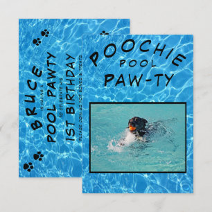 Poochie Pool Paw-ty Foto Geburtstag Einladung