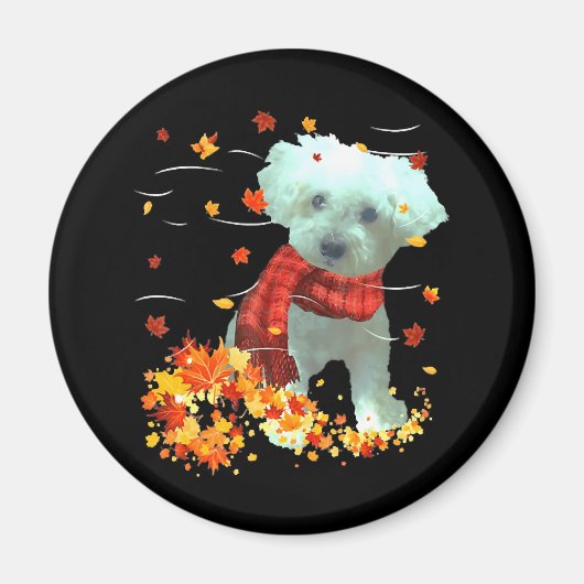 Poochon Herbstschal - Hunde Herbstlaub Magnet (Vorne)