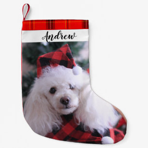 Pooddog Weihnachtsfeiertag Strumpf Kleiner Weihnachtsstrumpf