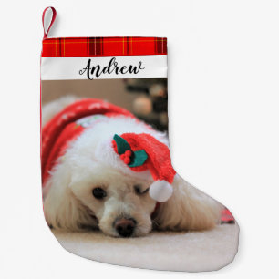 Pooddog Weihnachtsfeiertag Strumpf Kleiner Weihnachtsstrumpf