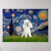 Poodle (14W) - Starry Night Poster (Vorne)