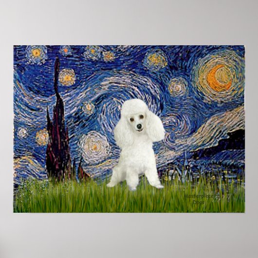 Poodle (14W) - Starry Night Poster (Vorne)