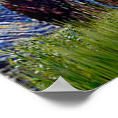 Poodle (14W) - Starry Night Poster (Ecke)