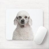 Poodle (1 Jahr) Mousepad (Mit Mouse)